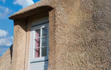 Hollywater thatch roof disadvantages